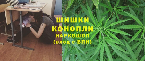 сатива Козловка