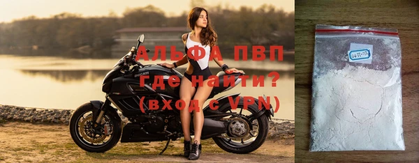 стаф Корсаков
